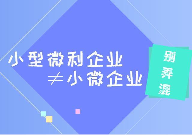 小型微利企業 小型微利企業