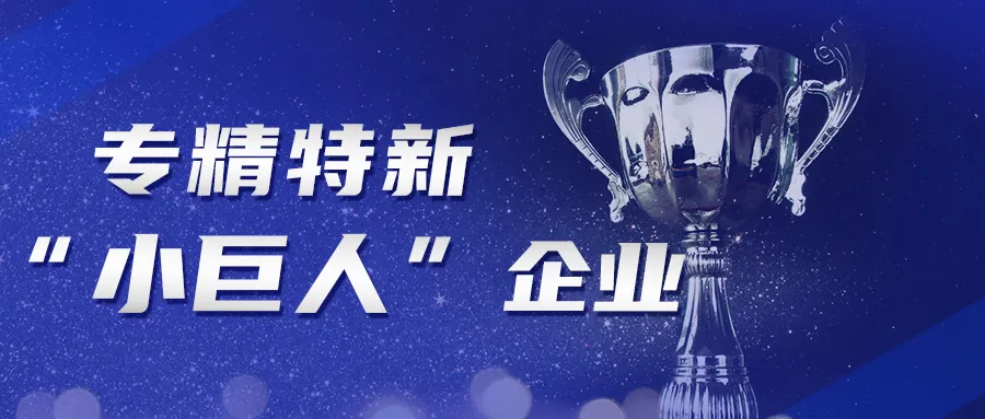 專(zhuān)精特新小巨人
